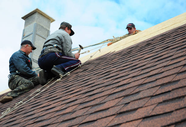 Roof Gutter Cleaning in Lake Ripley, WI
