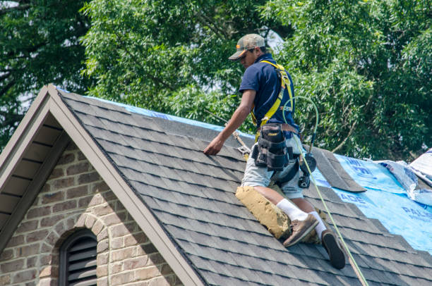 Best Storm Damage Roof Repair  in Lake Ripley, WI
